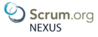 NexusLogo-1