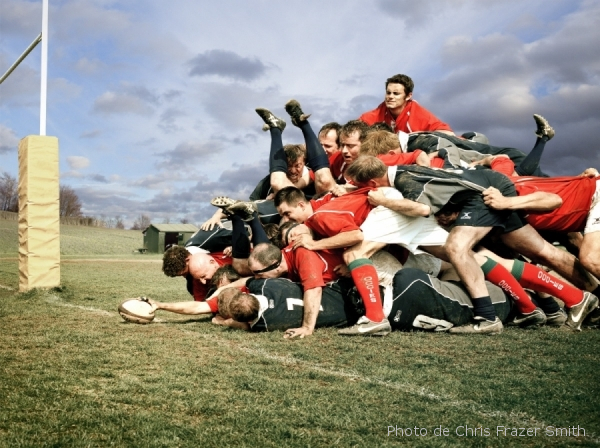 Être Scrum Master… mais à distance