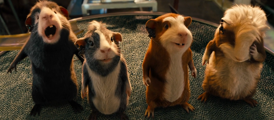 Un cochon d'Inde dans le Cloud