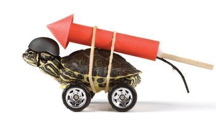 Développement agile : entre ralentisseurs et accélérateurs