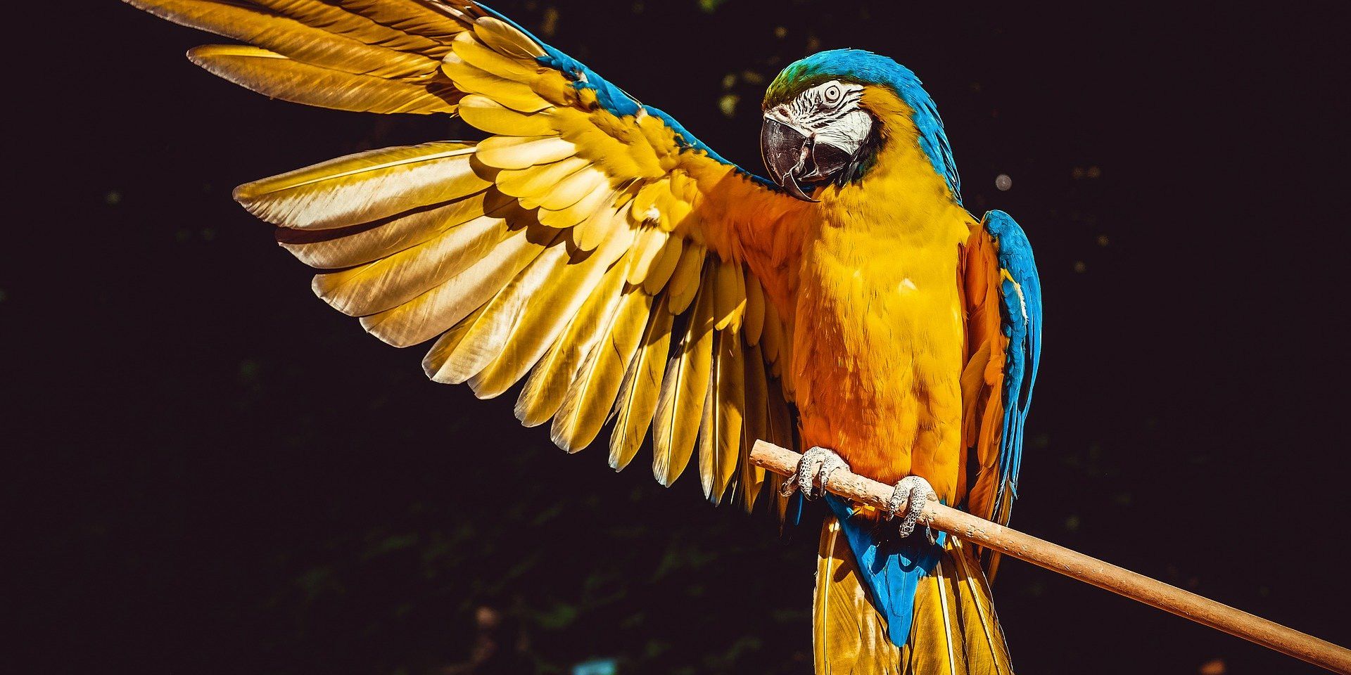 Déployer son identité graphique