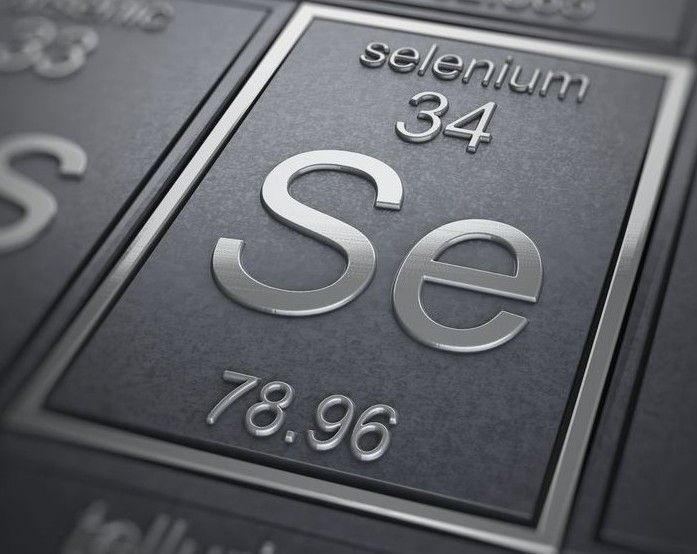 REX, prise en main de Selenium WebDriver