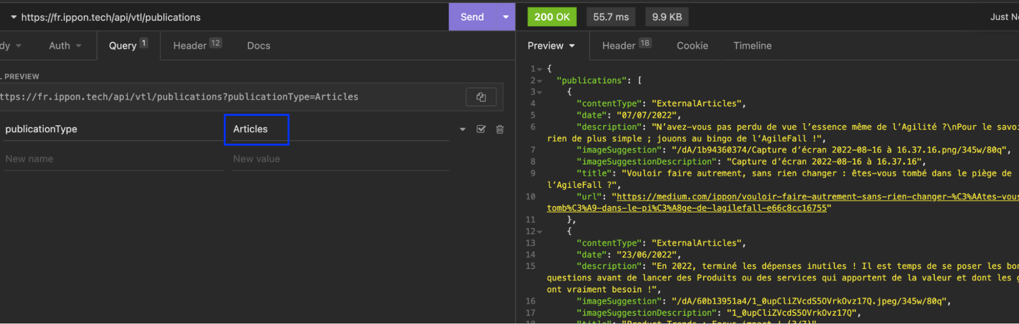 Changement de paramètre sur Insomnia, le paramètre "publicationType" a maintenant la valeur "Articles", ce qui change le résultat à droite
