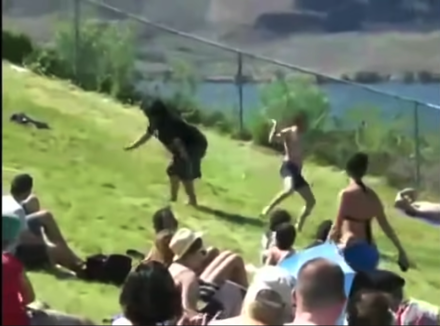 Danse aléatoire en festival