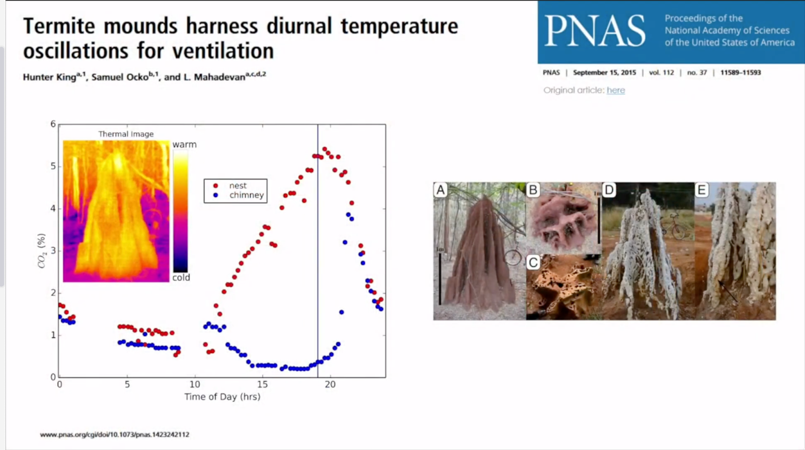 Distribution de chaleur dans une thermitière