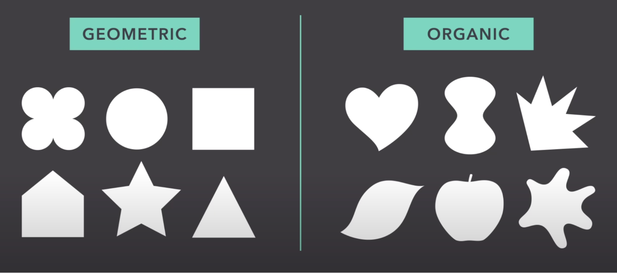 Photo d'illustrations des formes géométriques par rapport aux formes organiques.