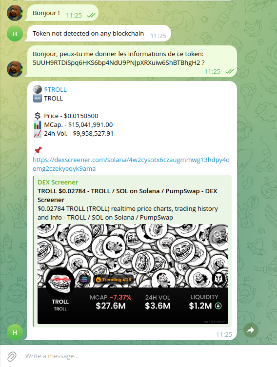 Capture d'écran du bot Telegram finalisé