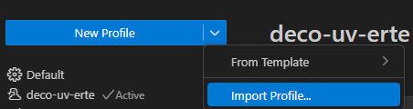 Capture d'écran de l'opération d'import Profile sur VSCode