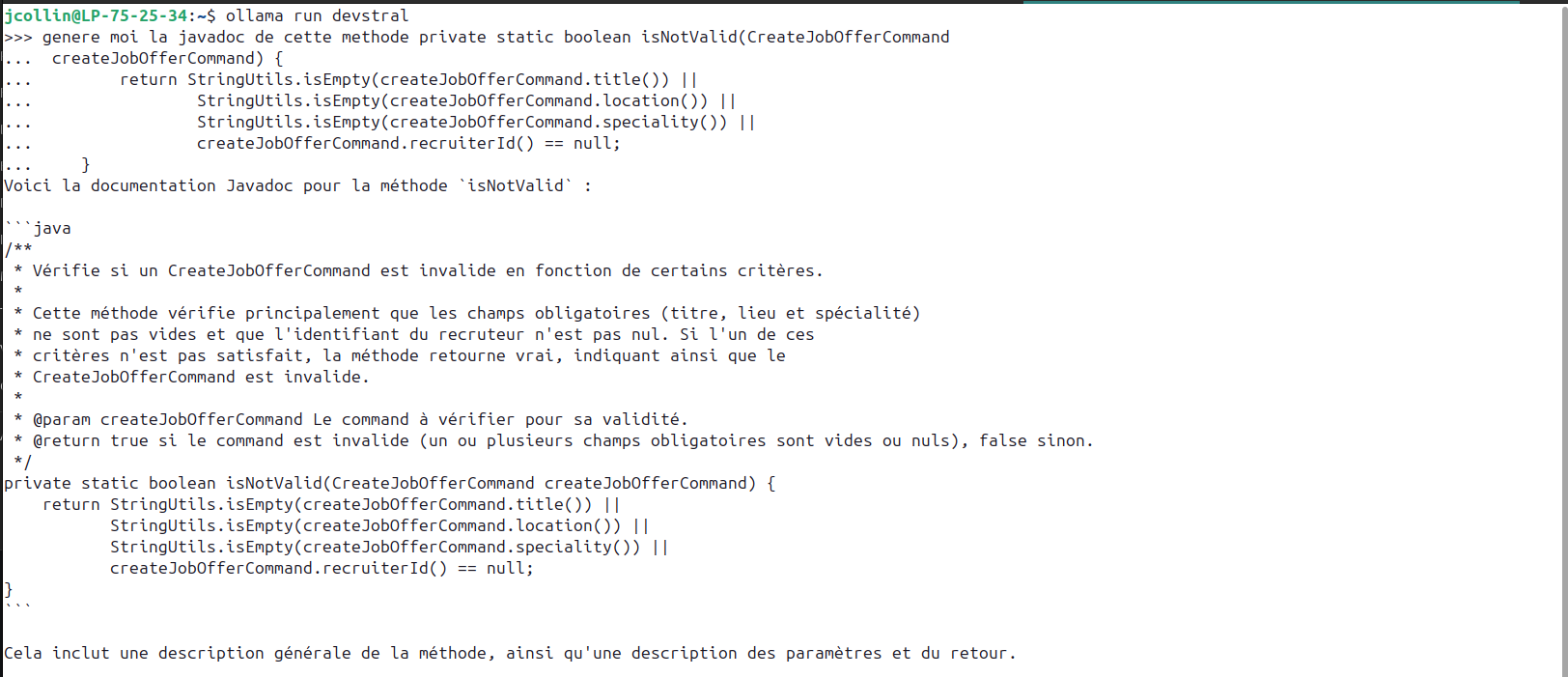 Génération de documentation Java avec Devstral dans un terminal.