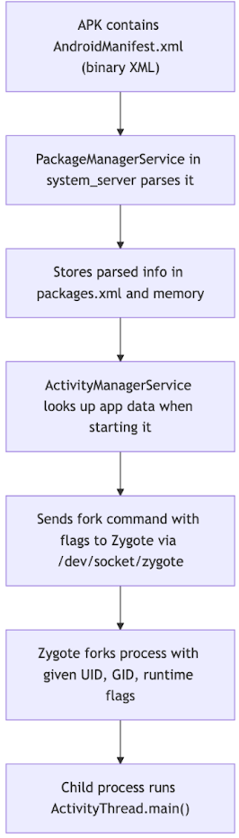 Explication de Zygote
