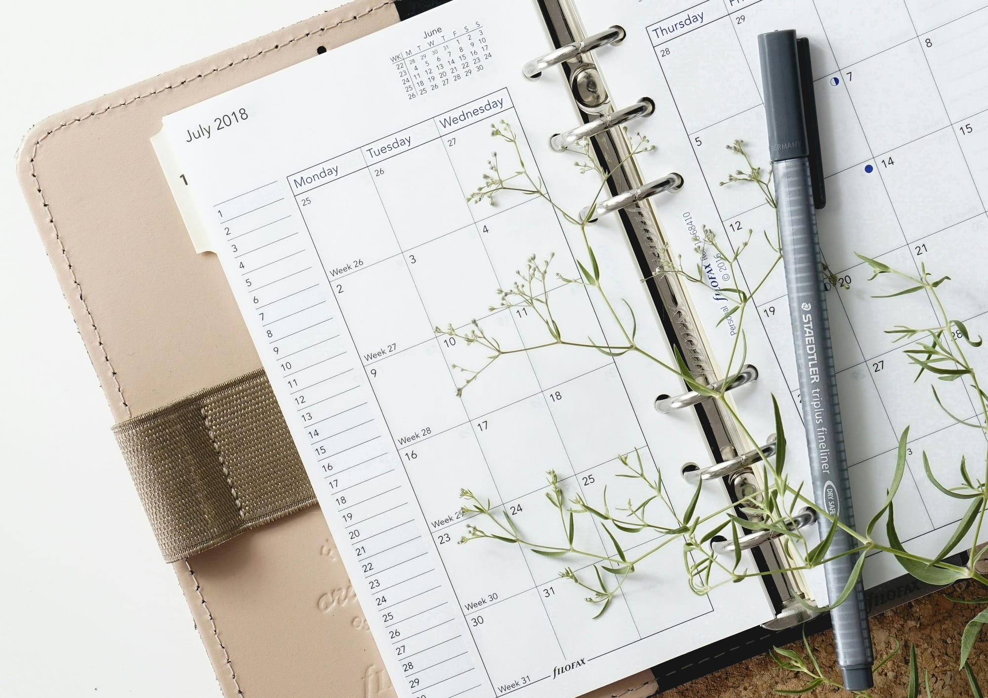 Photo d'un agenda ouvert avec un stylo noir et des végétaux.
