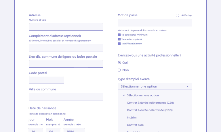 Formulaire utilisant le Design System de l'État, qui respect les critères d'accessibilité