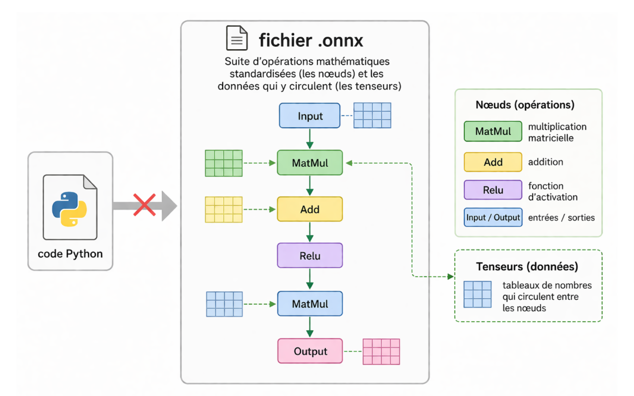 Schéma sur fond blanc montrant à gauche une icône de fichier Python barrée d'une croix rouge, reliée par une flèche grise à un encadré central intitulé "fichier .onnx". À l'intérieur, un graphe vertical de nœuds colorés (Input en bleu, MatMul en vert, Add en jaune, Relu en violet, MatMul en bleu, Output en rose) reliés par des flèches. À droite, deux légendes détaillent les nœuds (opérations) et les tenseurs (données).